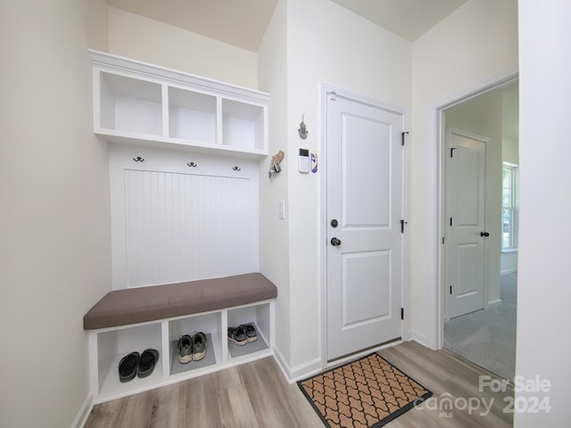 mudroom with wood-type flooring