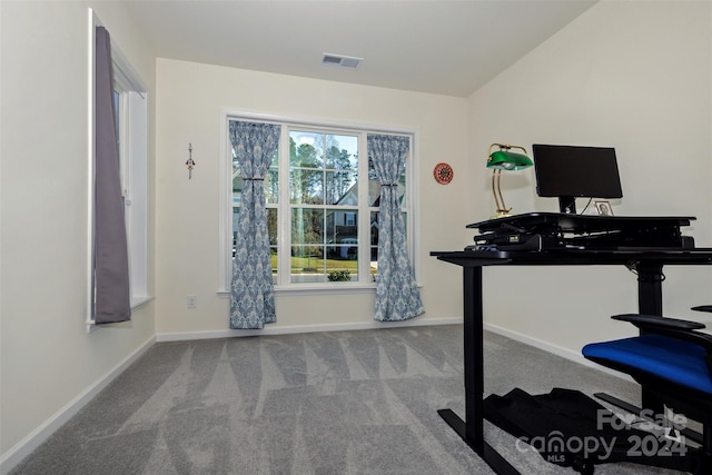 exercise area featuring carpet and lofted ceiling