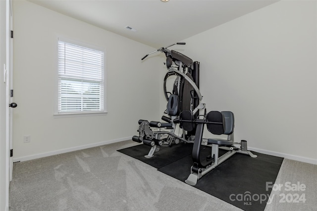 workout area featuring carpet floors