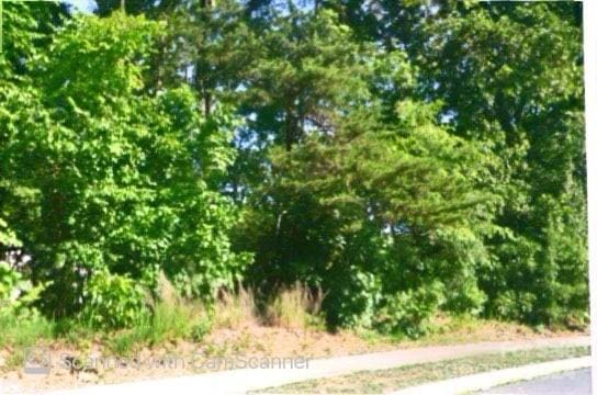 157 Silver Birch Ln, Mount Holly NC, 28120 land for sale