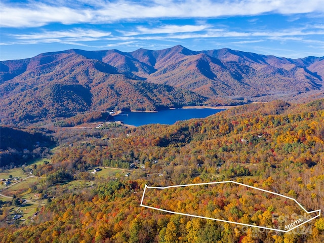 11.12ACRES Middle Mountain Rd Unit 5, Black Mountain NC, 28711 land for sale