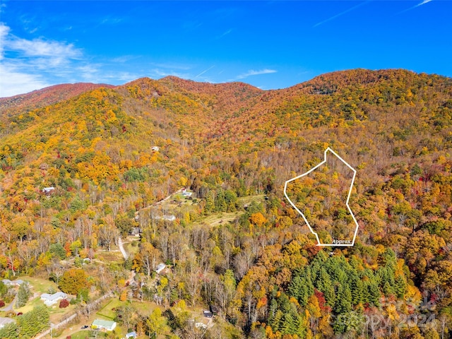 Listing photo 2 for 11.12ACRES Middle Mountain Rd Unit 5, Black Mountain NC 28711