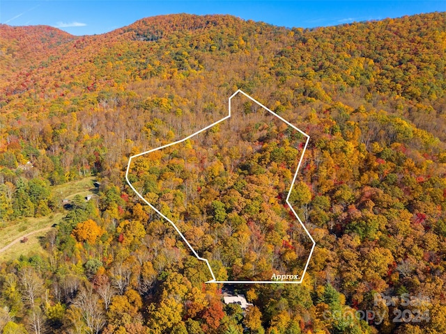 Listing photo 3 for 11.12ACRES Middle Mountain Rd Unit 5, Black Mountain NC 28711