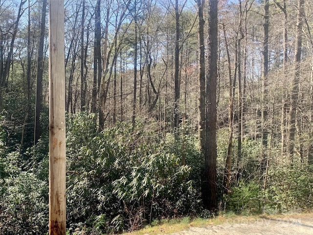 22 Double Creek Road Lot 22 & 25, Brevard NC, 28712 land for sale