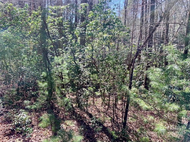 Listing photo 3 for 22 Double Creek Road Lot 22 & 25, Brevard NC 28712