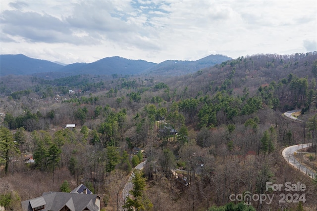 12 Grovepoint Way, Asheville NC, 28804 land for sale