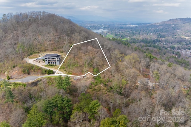 Listing photo 2 for 32 Grovepoint Way, Asheville NC 28804