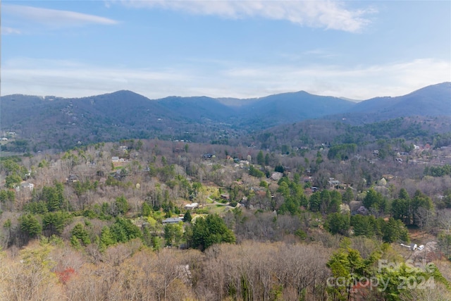 Listing photo 3 for 32 Grovepoint Way, Asheville NC 28804