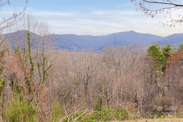 32 Grovepoint Way, Asheville NC, 28804 land for sale