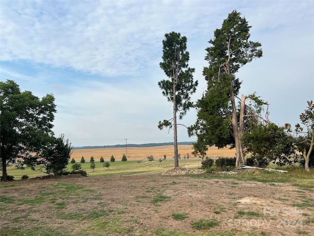 view of yard featuring a rural view