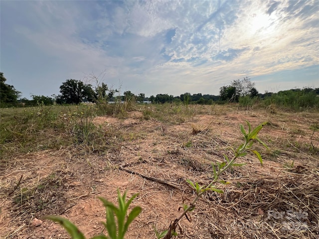 view of local wilderness with a rural view