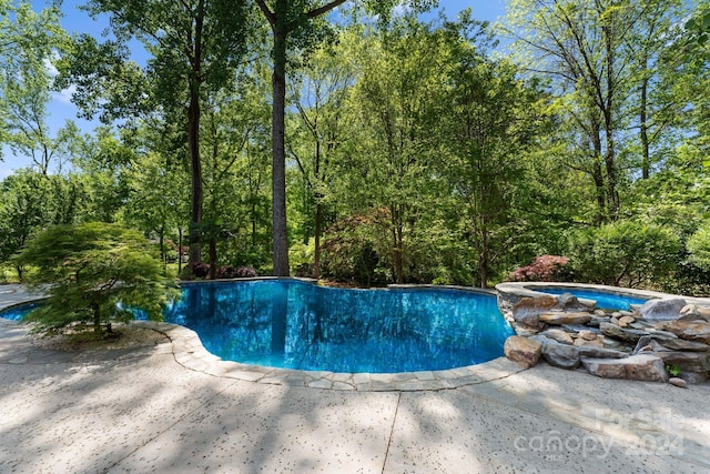 view of pool with a patio