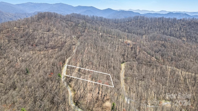 Listing photo 2 for 1214 Red Wolf Run Unit 23, Mars Hill NC 28754