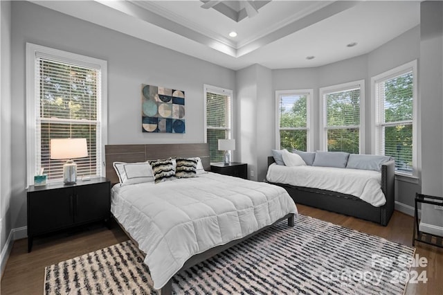 bedroom with dark hardwood / wood-style flooring, multiple windows, and a tray ceiling