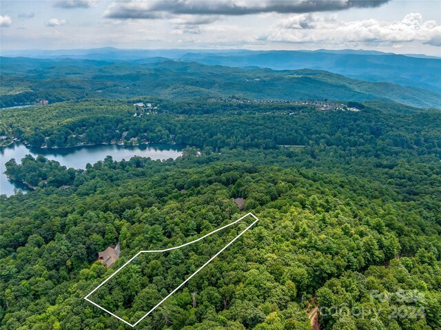 LOT24 Lakeside Trl Unit 24, Lake Toxaway, NC 28747