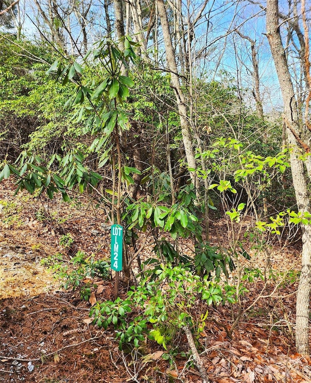 LOT24 Lakeside Trl Unit 24, Lake Toxaway, NC 28747
