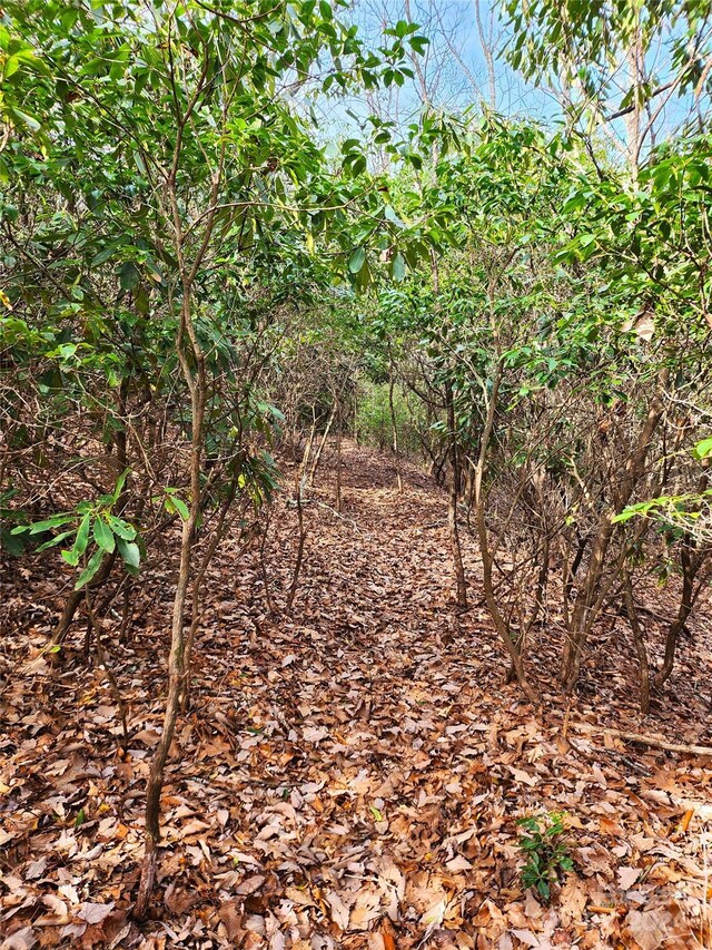 LOT24 Lakeside Trl Unit 24, Lake Toxaway, NC 28747