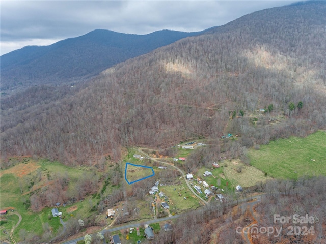 Listing photo 2 for TBD Rileys Dr, Bakersville NC 28705