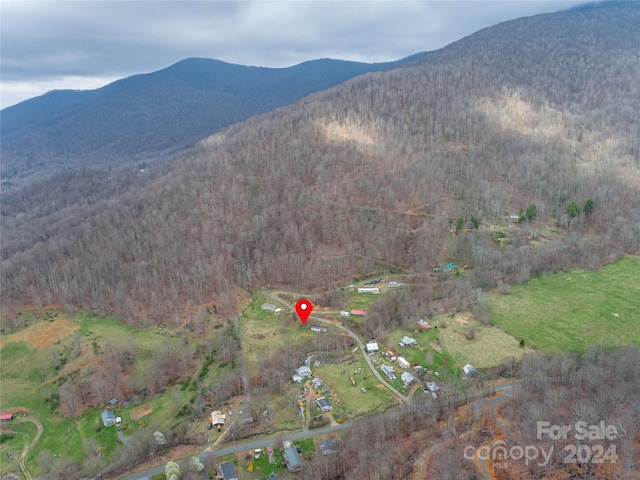 Listing photo 3 for TBD Rileys Dr, Bakersville NC 28705