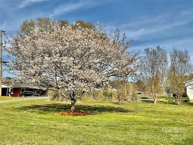 view of yard