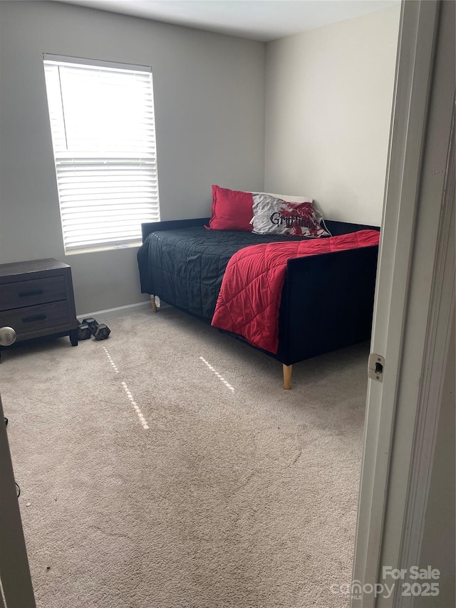 bedroom featuring carpet