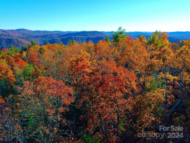 LOTD2000 Dogwood Ln, Penrose, NC 28766