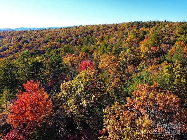 LOTD1000 Dogwood Ln, Penrose, NC 28766