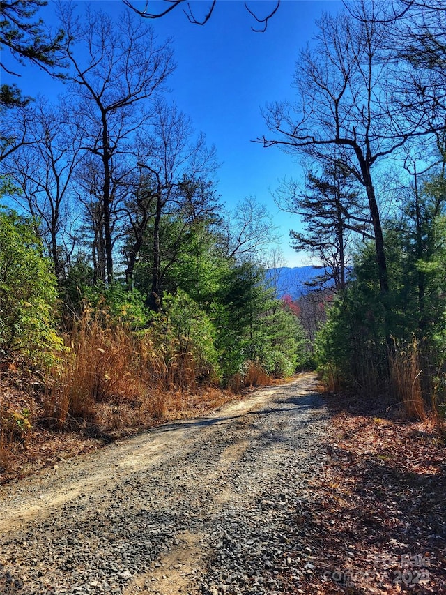LOTD1000 Dogwood Ln, Penrose, NC 28766