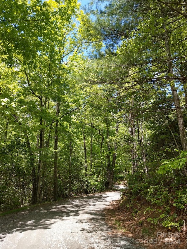 LOTD1000 Dogwood Ln, Penrose, NC 28766