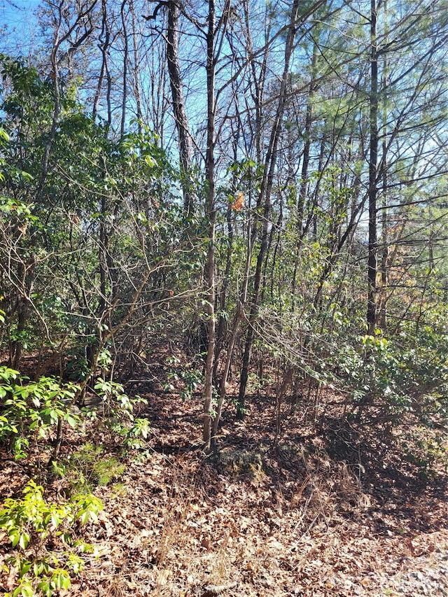 LOTD1000 Dogwood Ln, Penrose, NC 28766