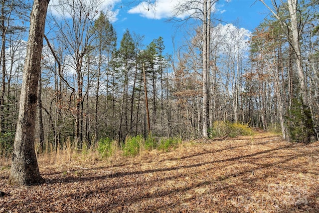 VL W Payne Rd, Marion NC, 28752 land for sale