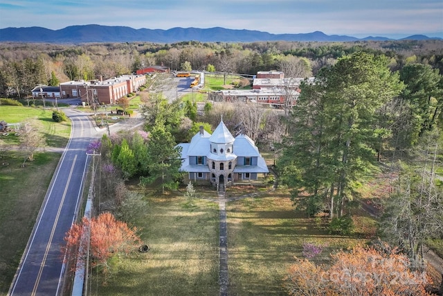 birds eye view of property featuring a mountain view