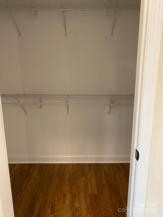 spacious closet with dark hardwood / wood-style flooring