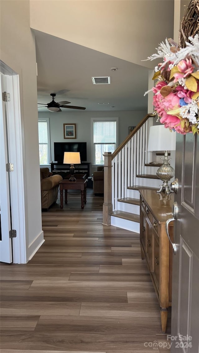 foyer with ceiling fan, plenty of natural light, and dark hardwood / wood-style floors