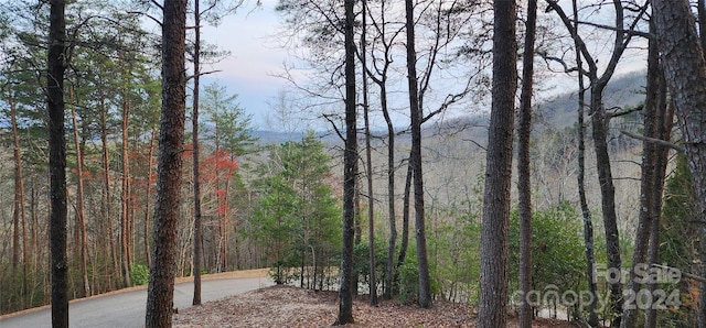 LOT34 Wilderness Creek Way Unit 34, Murphy NC, 28906 land for sale