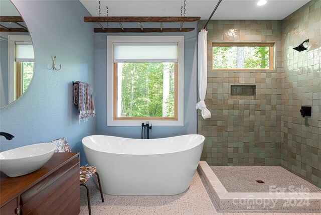 bathroom with vanity, a healthy amount of sunlight, and independent shower and bath