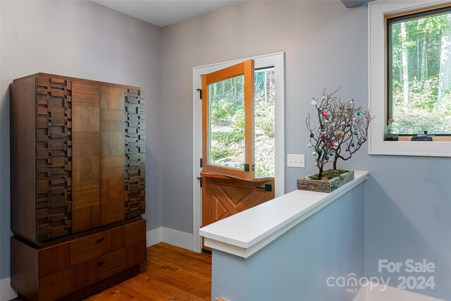 doorway to outside featuring wood-type flooring and a wealth of natural light