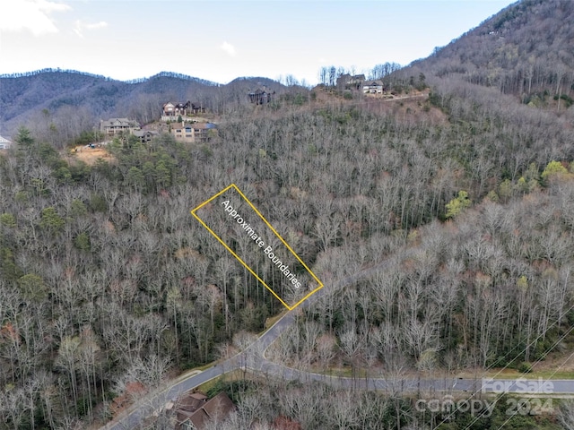 Listing photo 2 for 48 Settings Blvd Unit 140, Black Mountain NC 28711