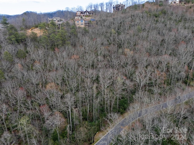 Listing photo 3 for 48 Settings Blvd Unit 140, Black Mountain NC 28711