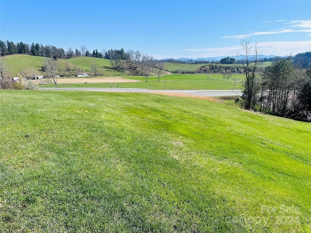 view of yard with a rural view