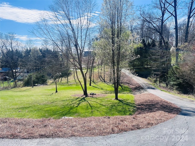 view of property's community featuring a lawn