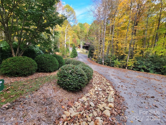 Listing photo 2 for 00 Covecrest Ln Unit 10, Maggie Valley NC 28751