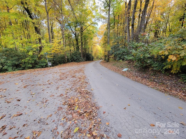 Listing photo 3 for 00 Covecrest Ln Unit 10, Maggie Valley NC 28751