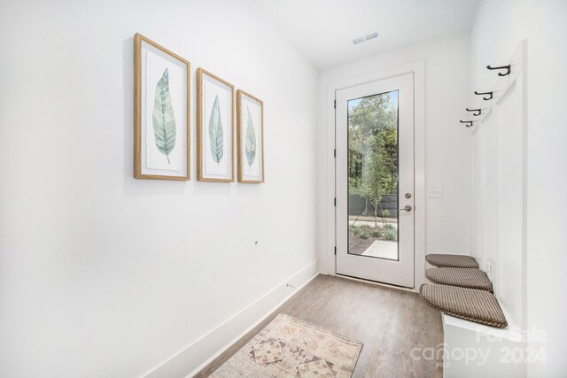 entryway with wood-type flooring