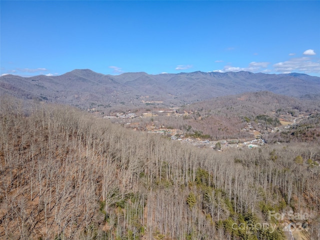 0 Nannys Ln, Sylva NC, 28779 land for sale