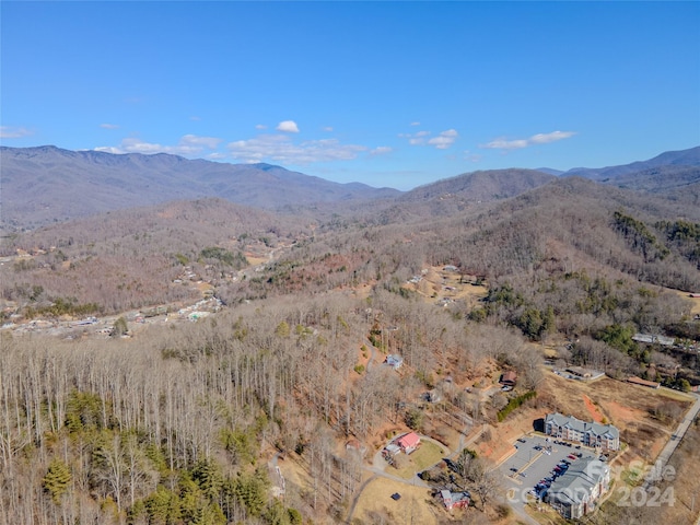 Listing photo 2 for 0 Nannys Ln, Sylva NC 28779