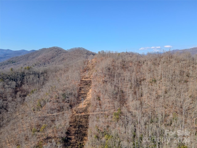 Listing photo 3 for 0 Nannys Ln, Sylva NC 28779