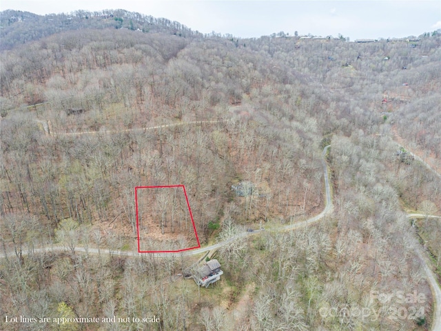 Listing photo 3 for 00 Puncheon Ln Unit 150, Mars Hill NC 28754