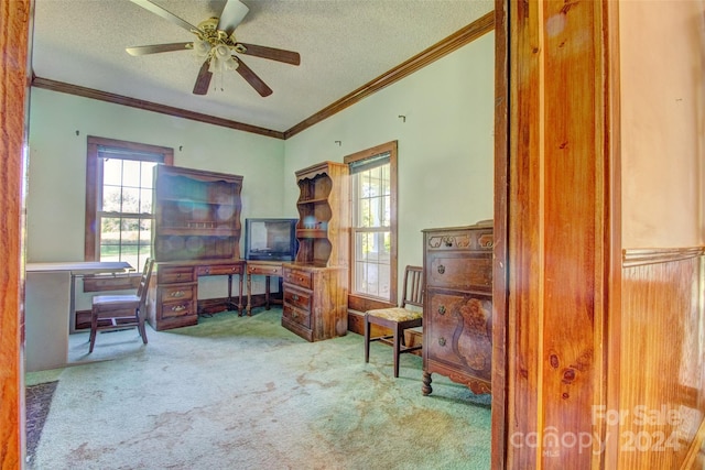 office space featuring a textured ceiling, light colored carpet, and ceiling fan