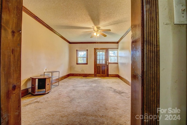 spare room with ceiling fan, ornamental molding, and light carpet